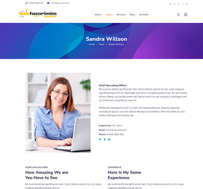 landing-elementor-team